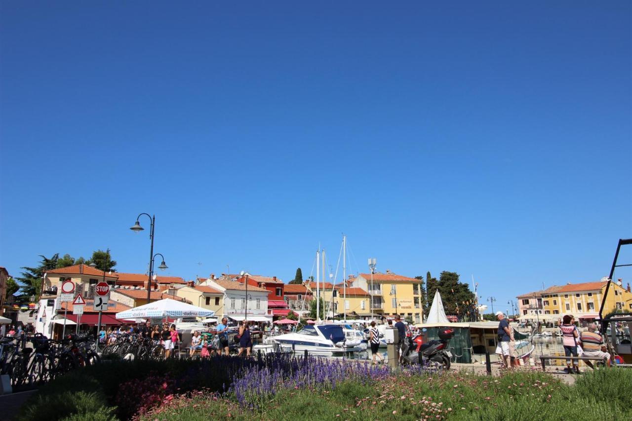 Irena A2 Apartment Novigrad  Luaran gambar